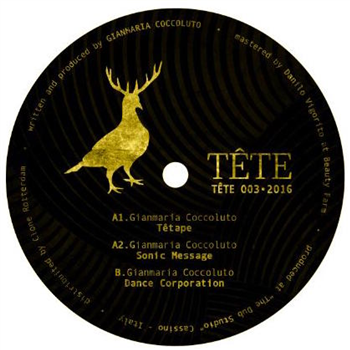 Gianmaria Coccoluto - Dance Corporation - Tete Records