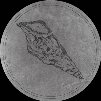 Voiski & Roberto - Calyptraphorus Velatus - Fossil Archive