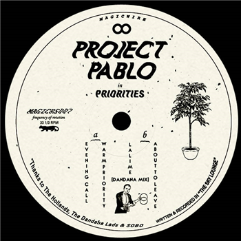 Project Pablo - Priorities - Magic Wire