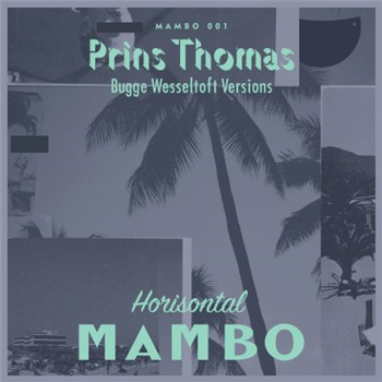 Prins Thomas - Translucent PP Sleeve, black inner amd 30x30 cm Posterinlay  - Horisontal Mambo