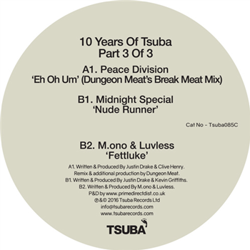 10 Years Of Tsuba Part Three - TSUBA