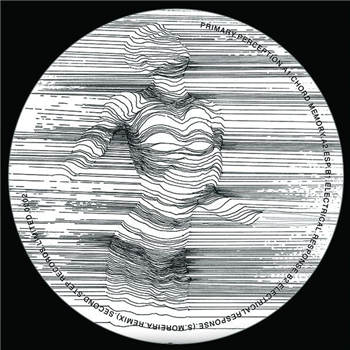 Primary Perception - Research Centre - Second Step Records Limited Primary Perception - Research Centre - Second Step Records Limited