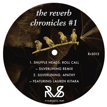 The Reverb Chronicles #1 - Va - RVS MUSIC