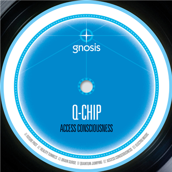 Q-Chip - Access Consciousness - Gnosis