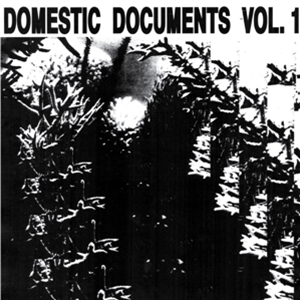 DOMESTIC DOCUMENTS VOLUME 1 - Va (2 X LP) - BUTTER SESSIONS / NOISE IN MY HEAD
