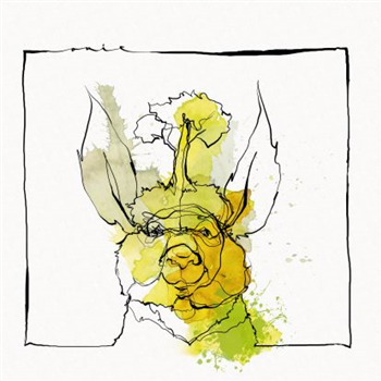 Acid Pauli & Nico Stojan - Ouïe Acid Pauli & Nico Stojan - Ouïe