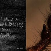 Helm & Decimus - We Will Meet At Other Human Parties LP - Opal Tapes Helm & Decimus - We Will Meet At Other Human Parties LP - Opal Tapes