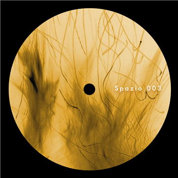 Marco Shuttle - Spazio Marco Shuttle - Spazio