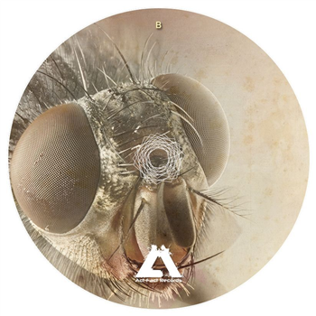 Afva005 - Va - Act-fact Records Afva005 - Va - Act-fact Records