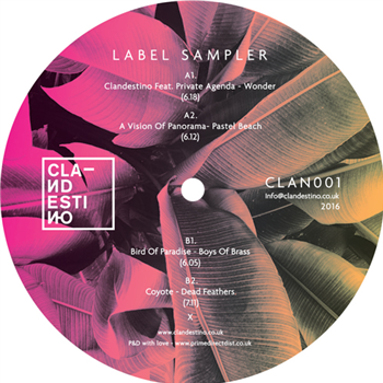 CLANDESTINO LABEL SAMPLER - VARIOUS ARTISTS - CLANDESTINO