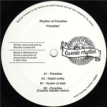 Rhythm of Paradise - Cosmic Rhythm