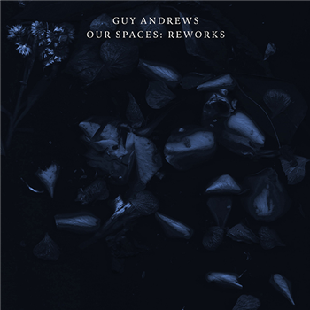 GUY ANDREWS - Houndstooth