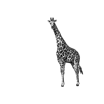 Giraffe - Juni - Meakusma