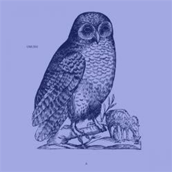Unknown Artist - Owl 4 - Owl