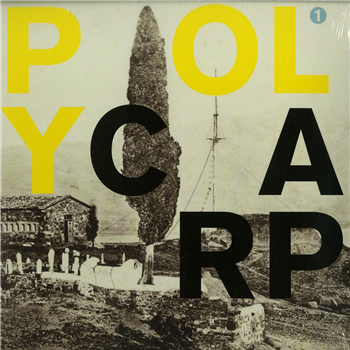 Simon Ferdinand - KINGSIZE - Polycarp Records Simon Ferdinand - KINGSIZE - Polycarp Records