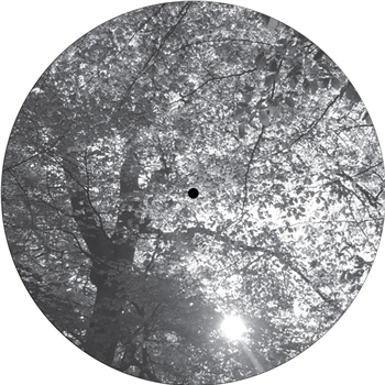 RESOE / ZOLTAN SOLOMON - BAUMLPE003 - BAUM LIMITED PICTURE EDITION RESOE / ZOLTAN SOLOMON - BAUMLPE003 - BAUM LIMITED PICTURE EDITION
