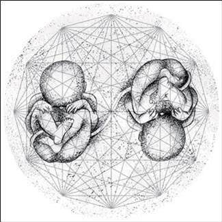 ORGANIC ELEMENTS EP - VA - SUBOSC ORGANIC ELEMENTS EP - VA - SUBOSC