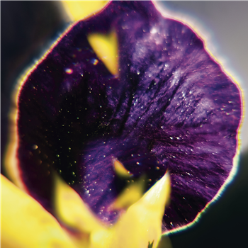 FIS - From Patterns to Details - Subtext Recordings FIS - From Patterns to Details - Subtext Recordings