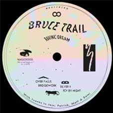 Bruce Trail - Ravine Dream - Magic Wire