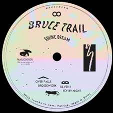 Bruce Trail - Ravine Dream - Magic Wire Bruce Trail - Ravine Dream - Magic Wire