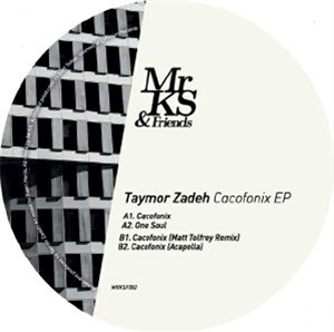 Taymor ZADEH - Cacofonix EP - Mr KS & Friends