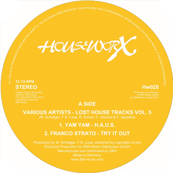 Lost House Tracks Vol. 5 - Va - Houseworx Records