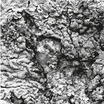 Aleks - Future Dialect EP - HELENA Aleks - Future Dialect EP - HELENA