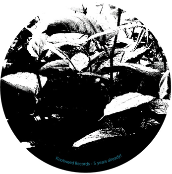 Philippe Petit - Opposite Attracts - Knotweed Records