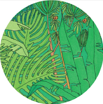 Billy Ray DE LA HAYE - Forest Fruit EP  - Tabernacle