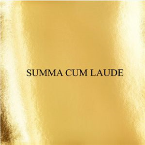 Domenico CRISCI - The Violinist - Summa Cum Laude