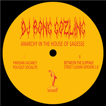 DJ Bong Gozling - Anarchy In The House Sagesse - Natural Science
