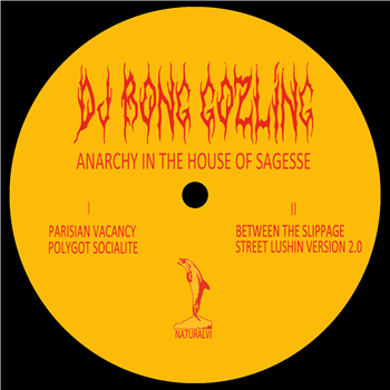 DJ Bong Gozling - Anarchy In The House Sagesse - Natural Science DJ Bong Gozling - Anarchy In The House Sagesse - Natural Science