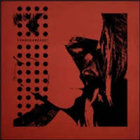 NIGHT MOVES - TRANSDANCE G.C.1 - DOMESTICA NIGHT MOVES - TRANSDANCE G.C.1 - DOMESTICA