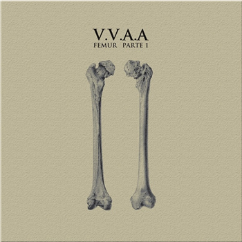 FEMUR PARTE 1 - Va - Clasicos Del Ruido FEMUR PARTE 1 - Va - Clasicos Del Ruido