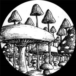 Chris Carrier – Sound Carrier #9 - Sound Carrier Chris Carrier – Sound Carrier #9 - Sound Carrier