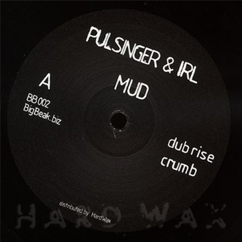 Pulsinger & Irl - Mud - Big Beak