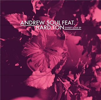 Andrew SOUL feat HARD TON - Smile For A While Germany
