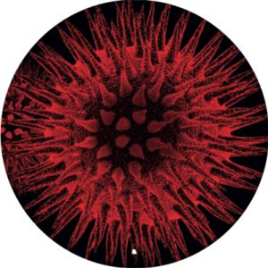 STEVE STOLL & M.R.E.U.X - Capture EP - BLUMOOG MUSIC STEVE STOLL & M.R.E.U.X - Capture EP - BLUMOOG MUSIC