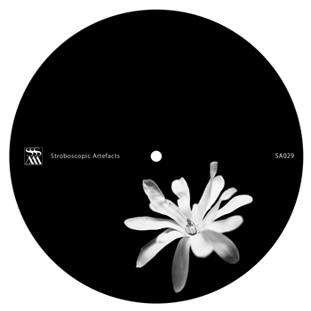 YOTAM AVNI - TEHILLIM - Stroboscopic Artefacts