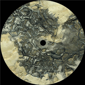 Morphology - Vortex Traks Morphology - Vortex Traks