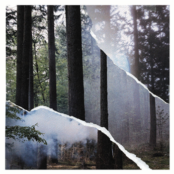 S. Channel - Never Ending Stories - Third Try Records S. Channel - Never Ending Stories - Third Try Records