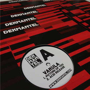 VAKULA - PICTURE OF YOU (2016 REPRESS) - Dekmantel