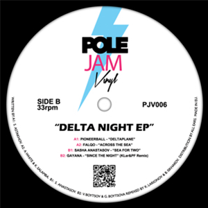 DELTA NIGHT EP - Va - POLE JAM VINYL