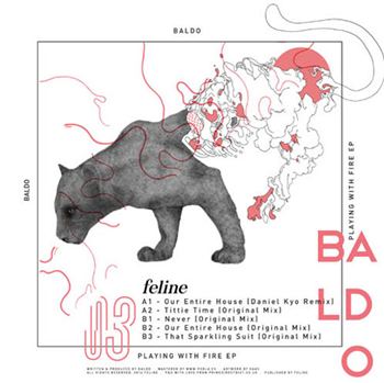 Baldo - Playing With Fire EP - Feline