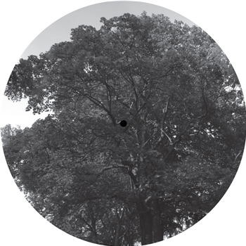 YOUANDME / THE ANALOG ROLAND ORCHESTRA - BAUMLPE004 - BAUM LIMITED PICTURE EDITION YOUANDME / THE ANALOG ROLAND ORCHESTRA - BAUMLPE004 - BAUM LIMITED PICTURE EDITION