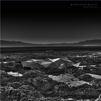 KANGDING RAY - HYPER OPAL MANTIS - Stroboscopic Artefacts