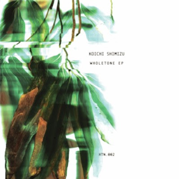 KOICHI SHIMIZU - WHOLETONE EP - HOLOTONE