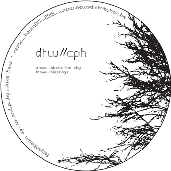 DTW//CPH - FIEGENBAUM EP - BAUM RECORDS