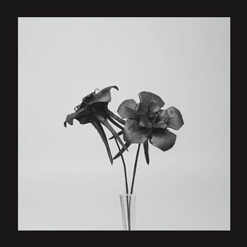 Jlin - Dark Lotus - Planet Mu