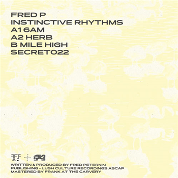 Fred P - Instinctive Rhythms - SECRETSUNDAZE